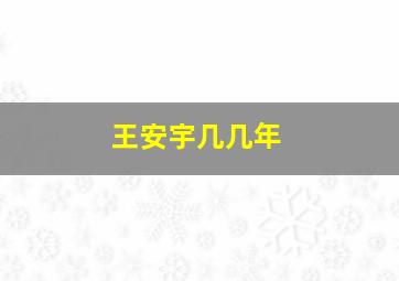 王安宇几几年