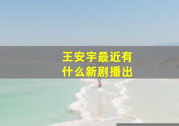 王安宇最近有什么新剧播出