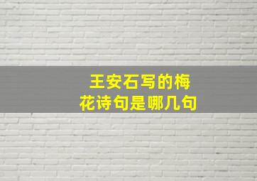 王安石写的梅花诗句是哪几句