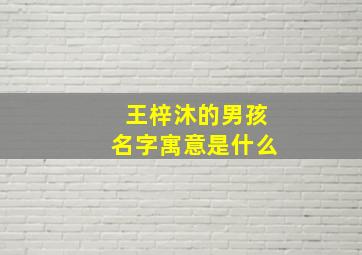 王梓沐的男孩名字寓意是什么