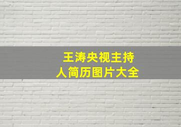 王涛央视主持人简历图片大全