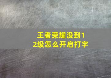 王者荣耀没到12级怎么开启打字