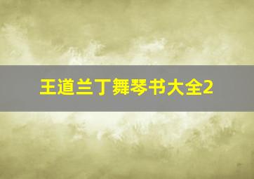 王道兰丁舞琴书大全2