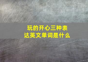 玩的开心三种表达英文单词是什么