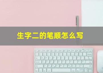 生字二的笔顺怎么写