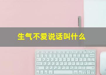 生气不爱说话叫什么