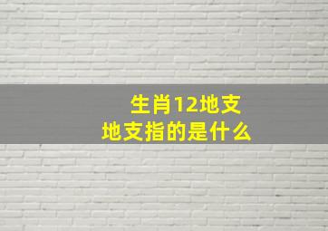 生肖12地支地支指的是什么