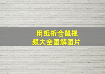 用纸折仓鼠视频大全图解图片