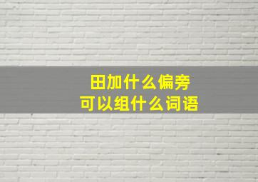 田加什么偏旁可以组什么词语