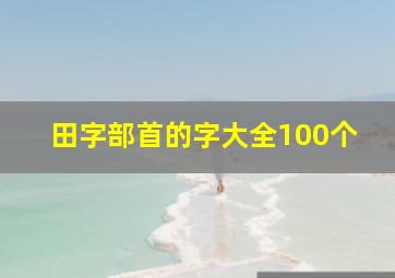 田字部首的字大全100个