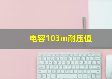 电容103m耐压值