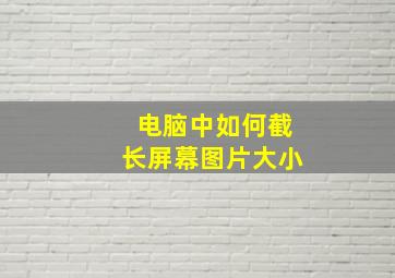 电脑中如何截长屏幕图片大小