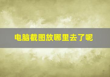 电脑截图放哪里去了呢