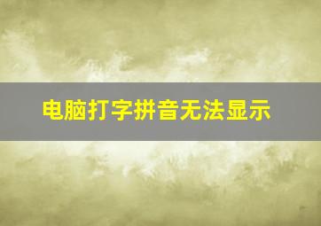 电脑打字拼音无法显示