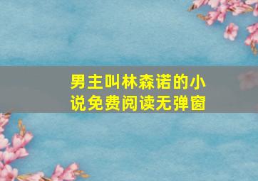 男主叫林森诺的小说免费阅读无弹窗