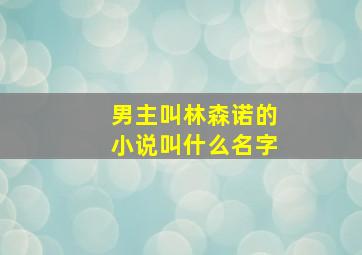 男主叫林森诺的小说叫什么名字