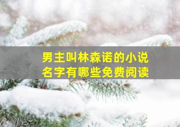 男主叫林森诺的小说名字有哪些免费阅读