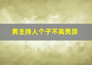 男主持人个子不高秃顶