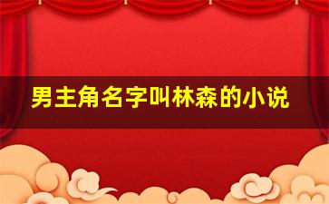 男主角名字叫林森的小说