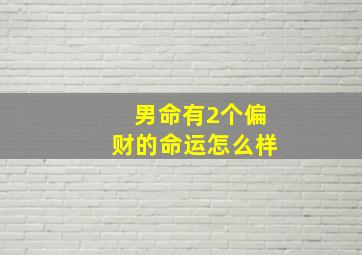 男命有2个偏财的命运怎么样