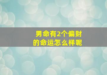 男命有2个偏财的命运怎么样呢