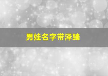 男娃名字带泽臻