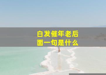 白发催年老后面一句是什么