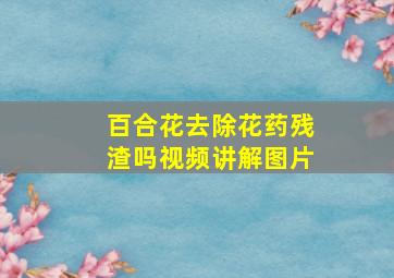 百合花去除花药残渣吗视频讲解图片