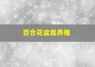 百合花盆栽养殖