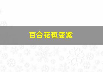 百合花苞变紫