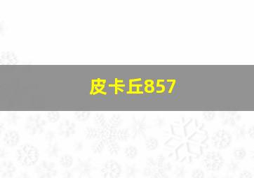 皮卡丘857