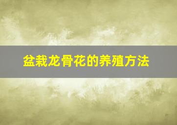 盆栽龙骨花的养殖方法