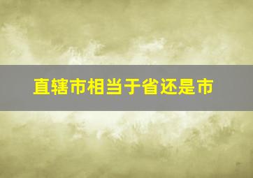 直辖市相当于省还是市