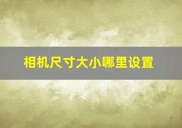 相机尺寸大小哪里设置