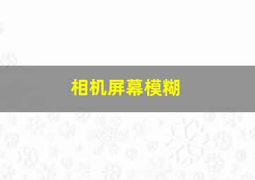 相机屏幕模糊