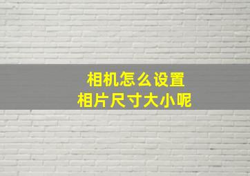 相机怎么设置相片尺寸大小呢