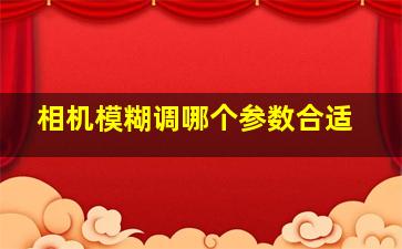 相机模糊调哪个参数合适