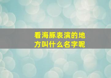 看海豚表演的地方叫什么名字呢