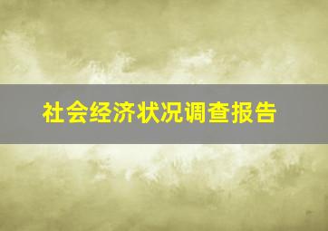 社会经济状况调查报告