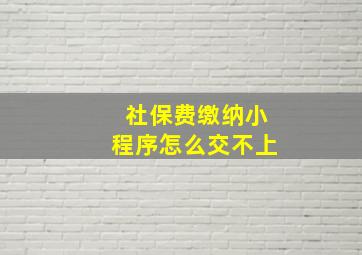 社保费缴纳小程序怎么交不上