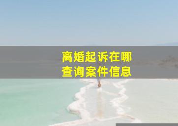 离婚起诉在哪查询案件信息