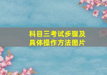 科目三考试步骤及具体操作方法图片