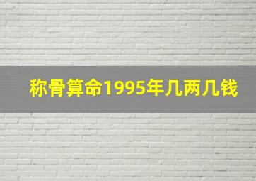 称骨算命1995年几两几钱