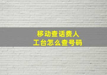 移动查话费人工台怎么查号码