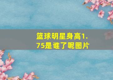 篮球明星身高1.75是谁了呢图片