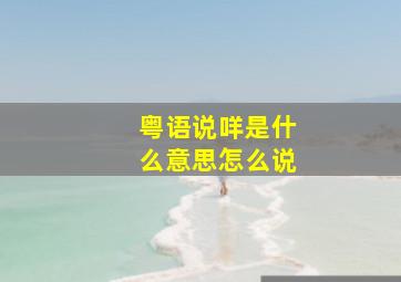 粤语说咩是什么意思怎么说