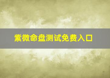 紫微命盘测试免费入口