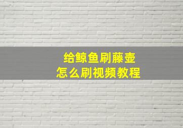 给鲸鱼刷藤壶怎么刷视频教程