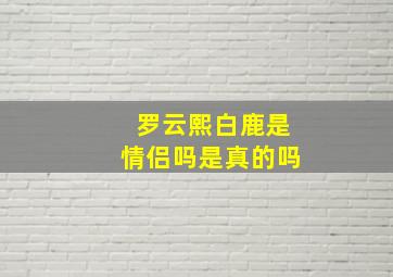 罗云熙白鹿是情侣吗是真的吗