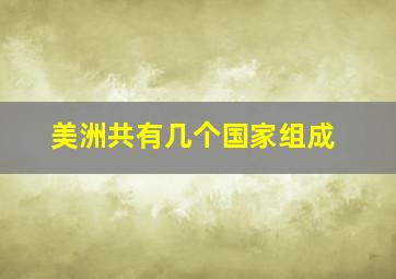 美洲共有几个国家组成